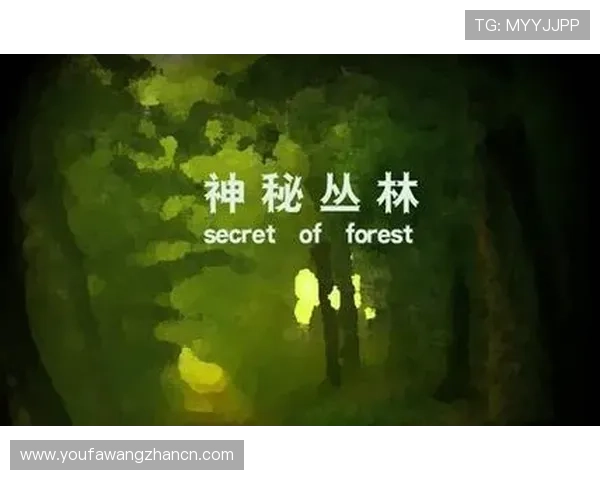 全面解析bg真人游戏官网的游戏规则与技巧提升玩家胜率的实用方法